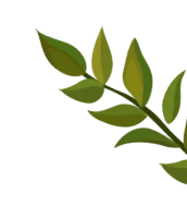 leafs